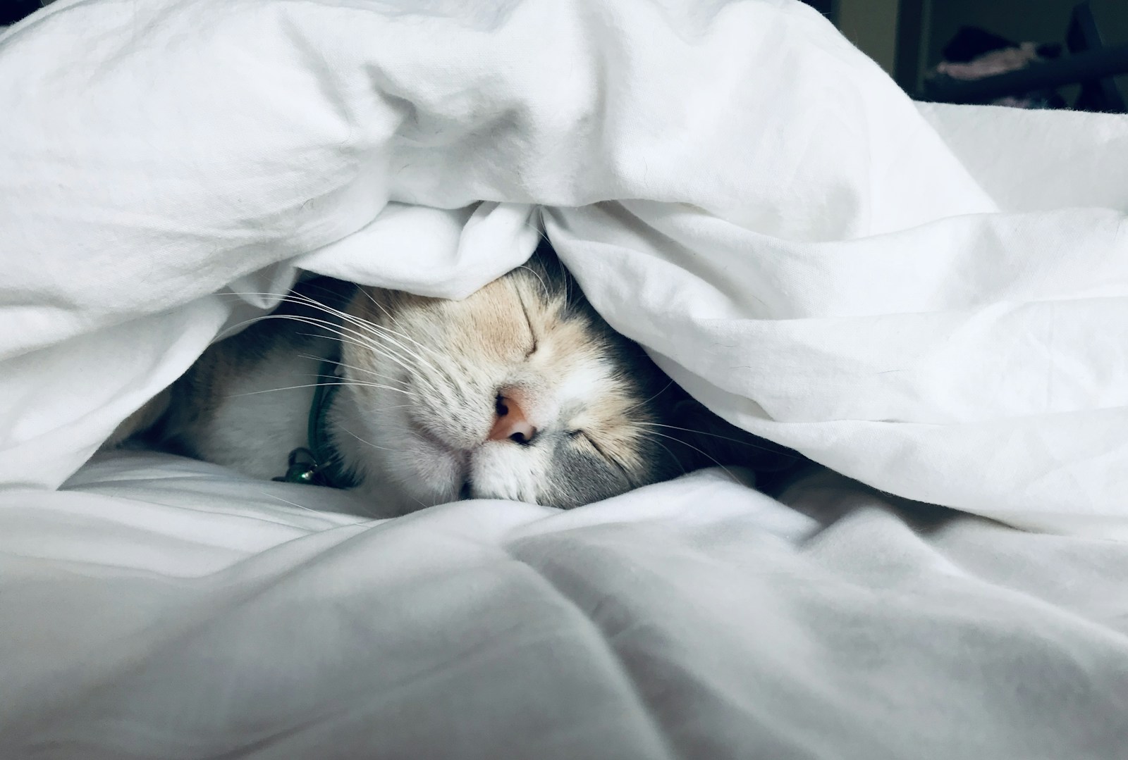 A person sleeping peacefully under a blanket, representing recovery from sleep debt
